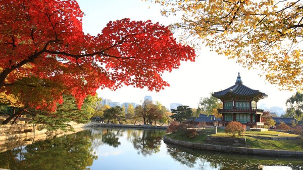 출처: 게티이미지뱅크 (단풍 여행)