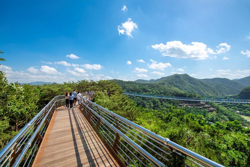 "한국 관광 100선에 선정된 대표 관광지 8월 개장!"… 8월에 가볼 만한 강원도 여행지 추천 2 강원도 여행지