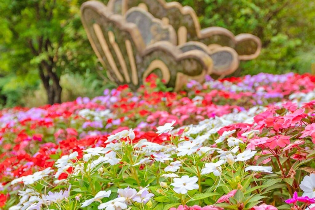 가을철 제주도 필수 수목원 2곳 (제주 상효원, 새미동산) 3 수목원