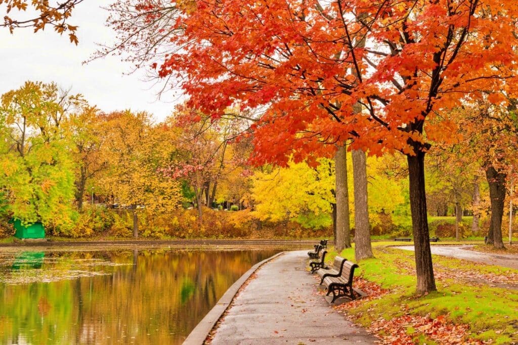 10월 황금 연휴에 가기 좋은 해외여행지는? (아메리카 여행, 유럽 여행) 2 해외여행