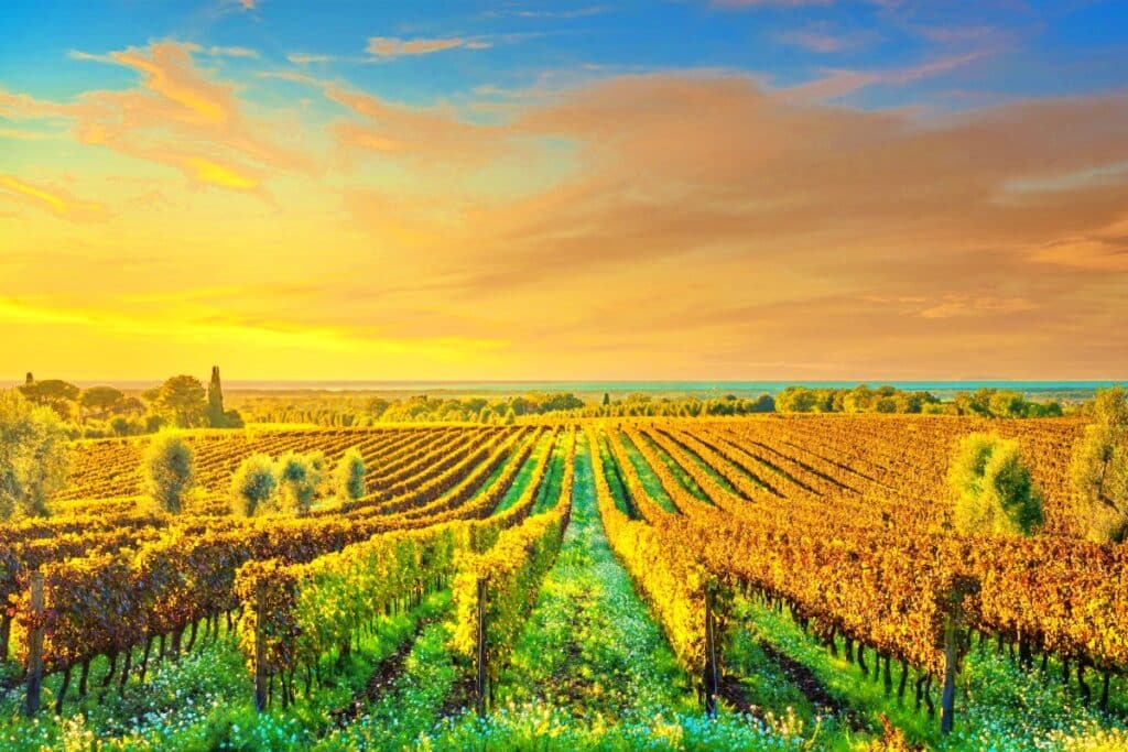 10월 황금 연휴에 가기 좋은 해외여행지는? (아메리카 여행, 유럽 여행) 5 해외여행