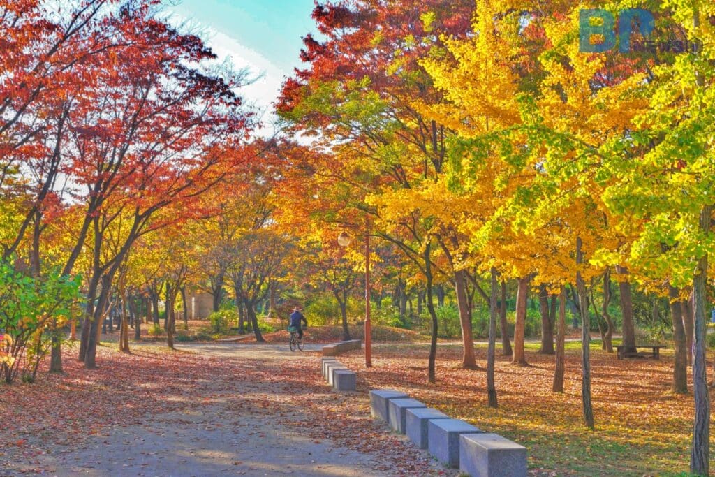 24.11.6 평화의 공원
