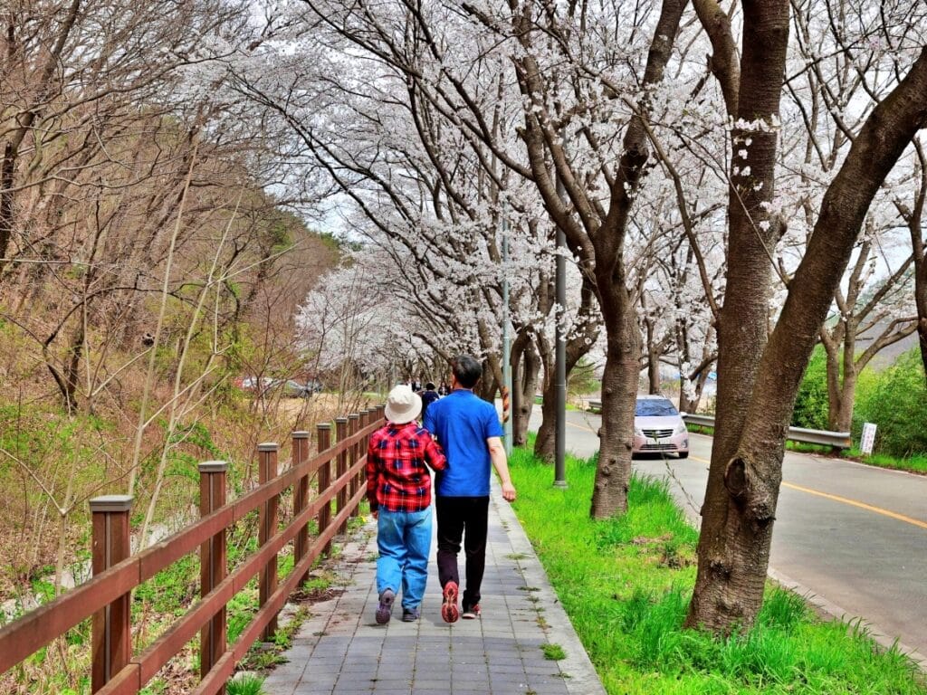 보성군