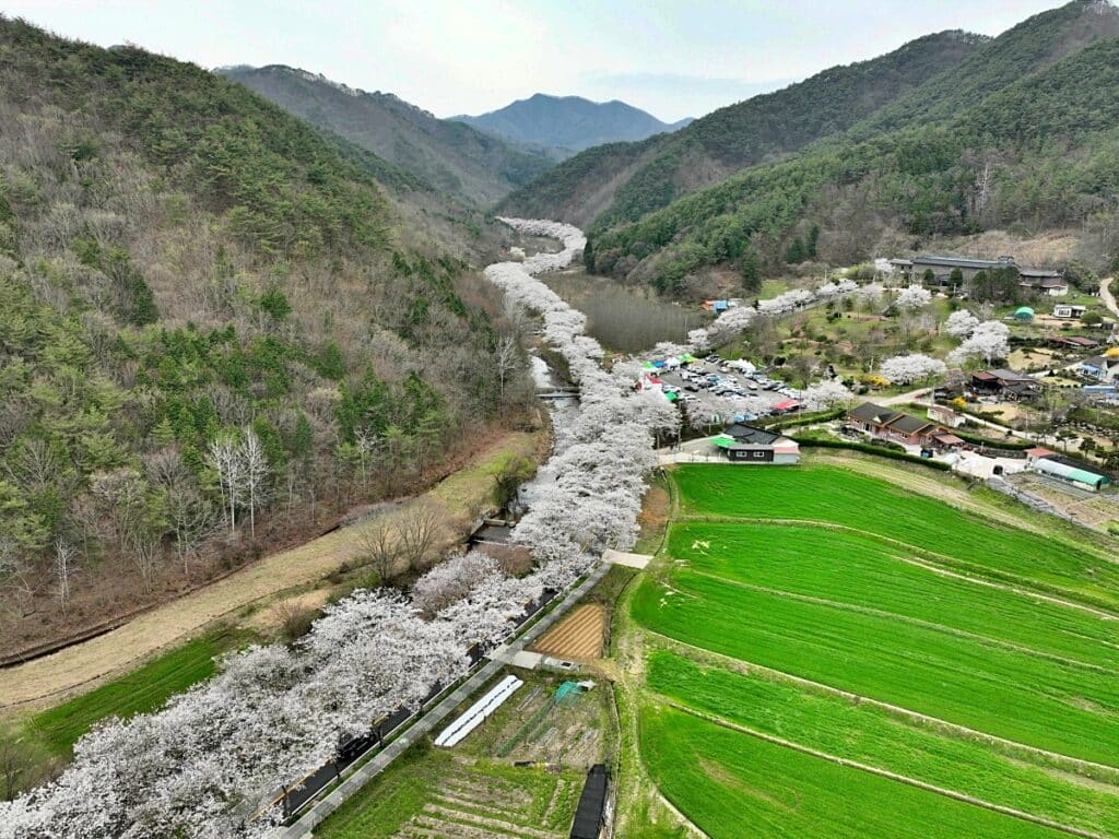 보성군