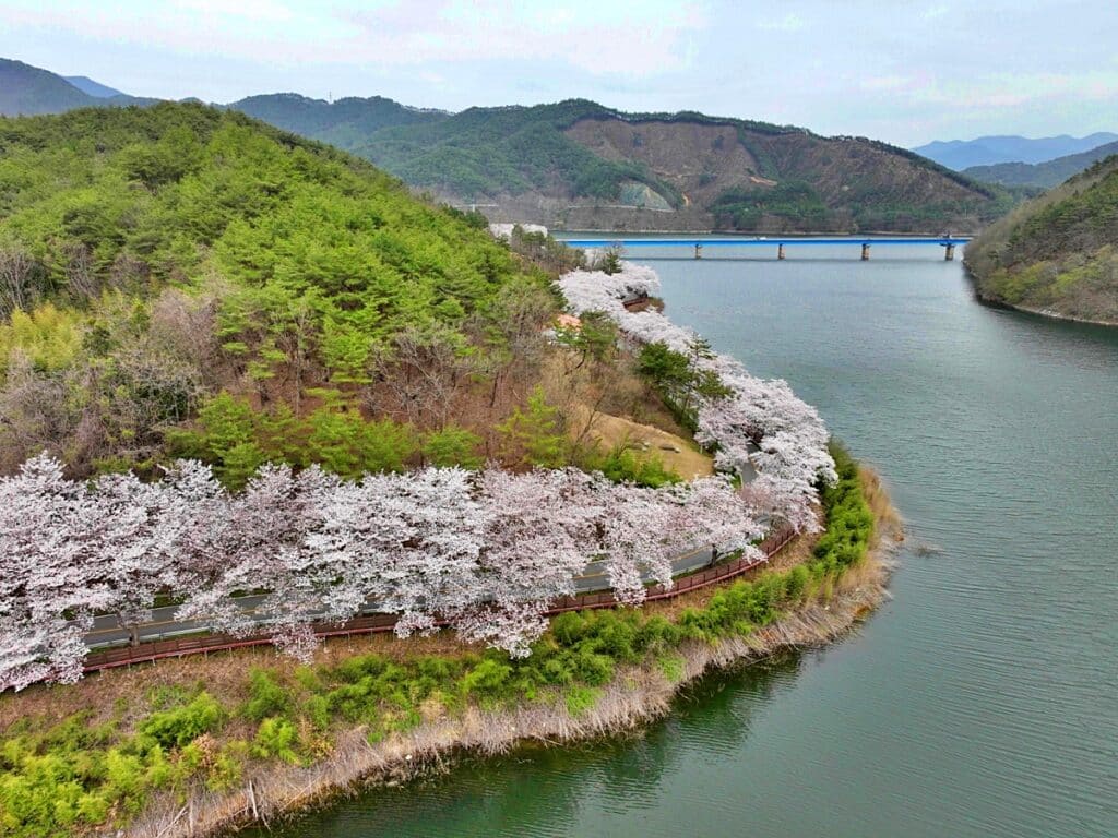 보성군