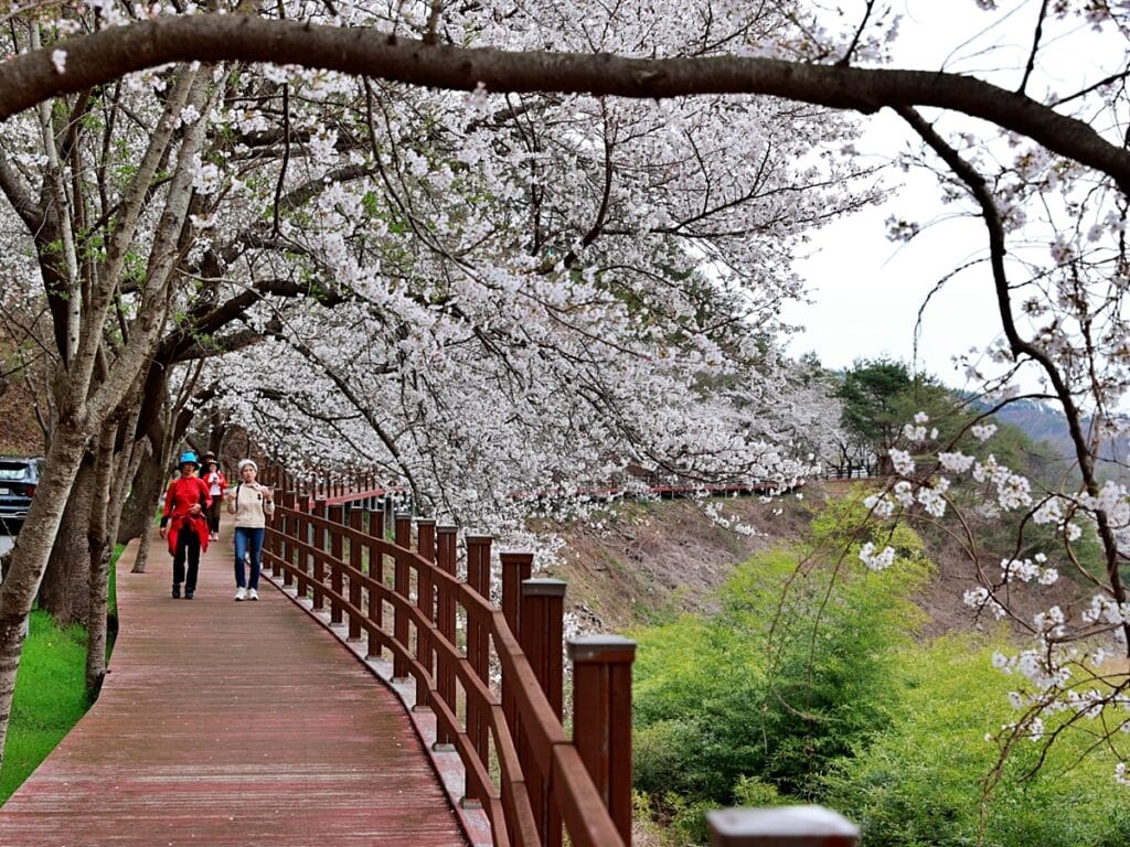 보성군