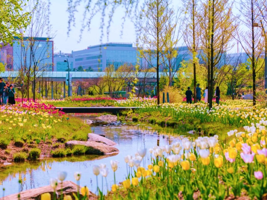 "라벤더인 줄 알았는데, 알고 보니"… 독특한 정원식물 여행지 2곳 6 정원