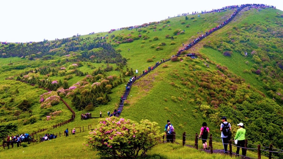 Discover the Serene Beauty of Gangwon Yangyang - News Directory 3